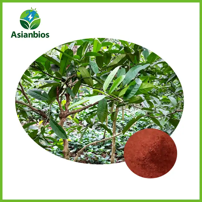 Cinnamon Extract Powder